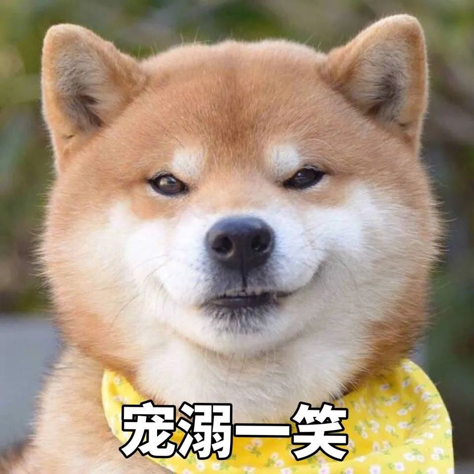幾千塊的衣服臭臭的？黴黴的？還不是你沒有放它！