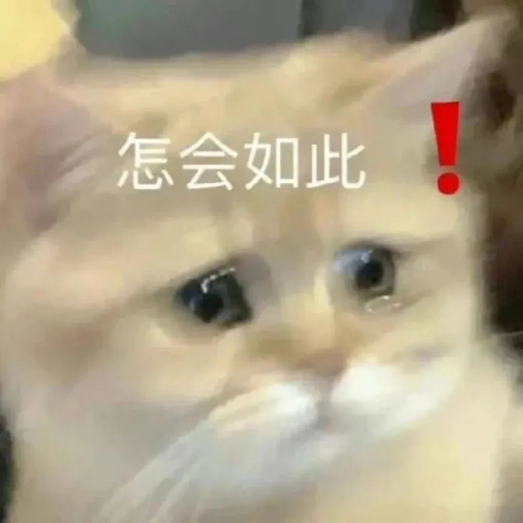 軟滑到無邊！舒服到放飛！真只要是個女的都逃不過啊！