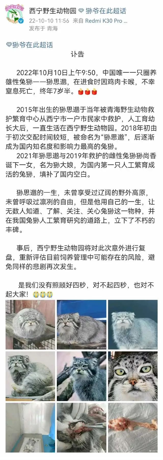 “猻思邈”走了，他背後的故事一言難盡