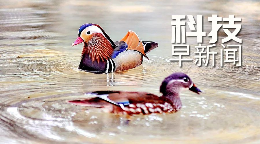 我國風電光伏裝機歷史性超過火電；日本東京4月米價創新高丨科技早新聞