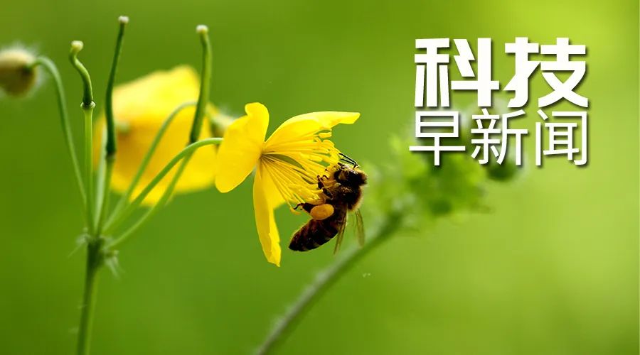 我國首次海洋性冰川航空探測啟動；103.08噸洋垃圾被海關查獲丨科技早新聞