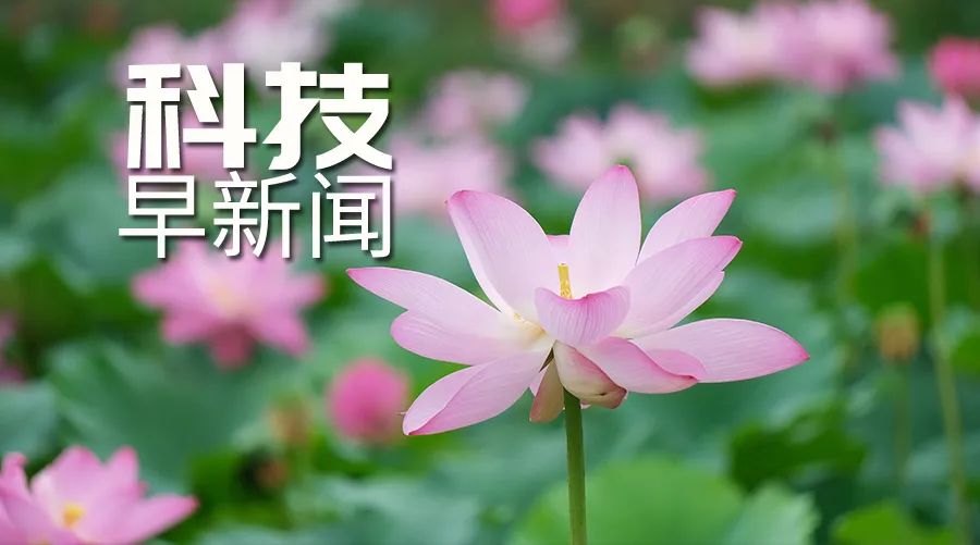 我國科學家找到229顆早型速逃星；“港車北上”突破100萬輛次丨科技早新聞
