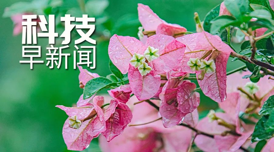 我國首個林草行業大模型問世；亞歐大陸最高活火山噴發丨科技早新聞