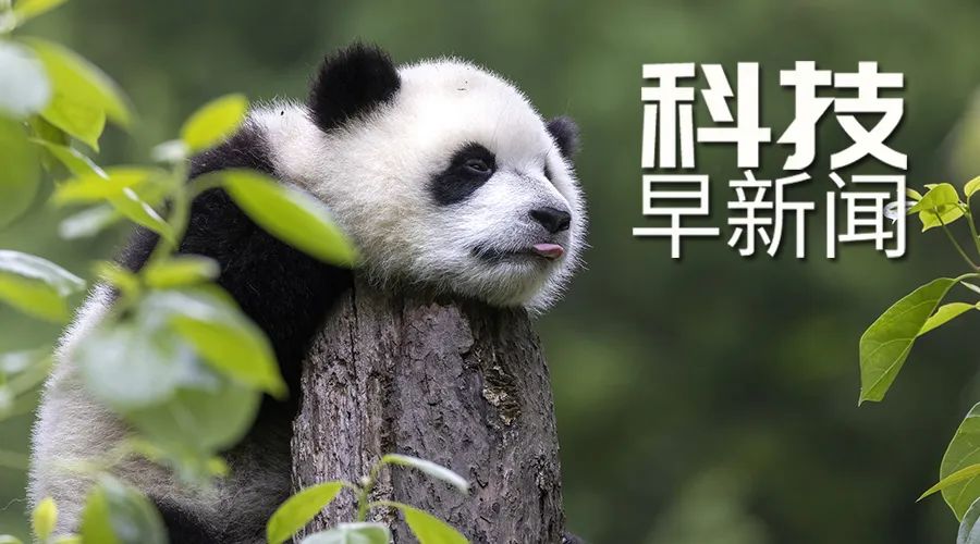 14億元農業生產防災救災資金下達；綠孔雀野化放歸試驗有重要進展丨科技早新聞