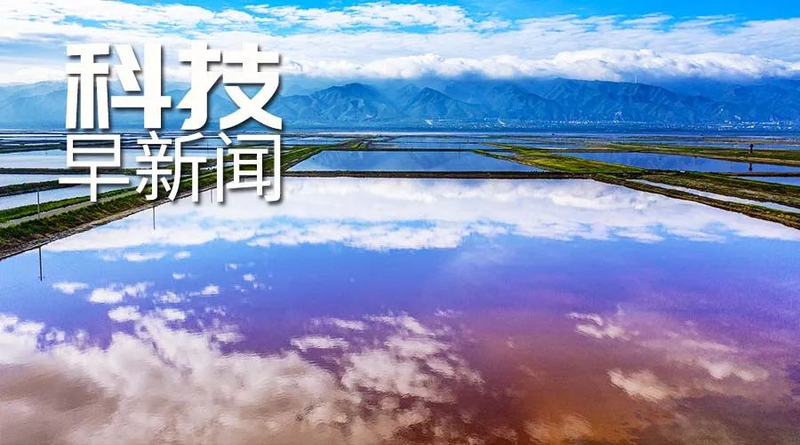 新舟60民用搜救機成功首飛；新疆發現沙丁冷無齒蚌丨科技早新聞