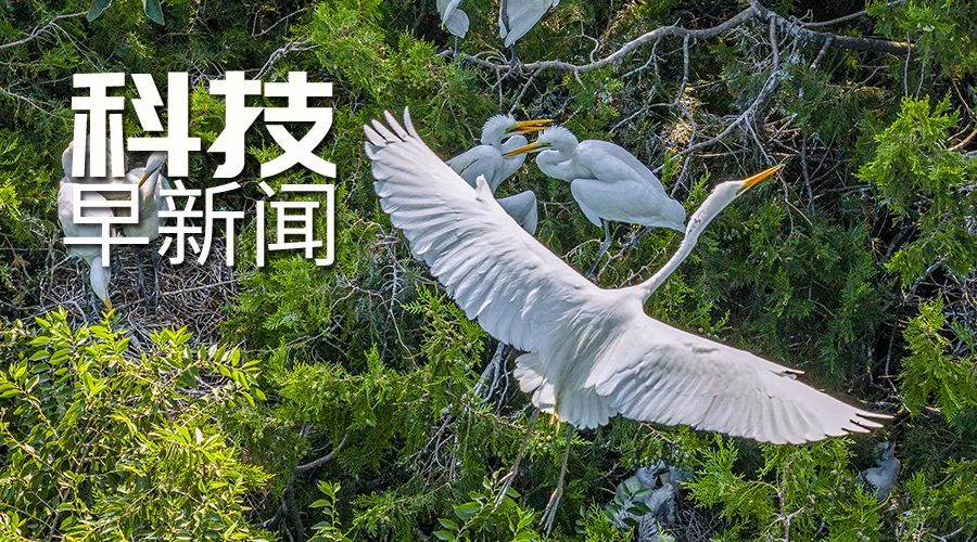 天舟九號完成全區合練；國家一級保護動物駝鹿現身丨科技早新聞