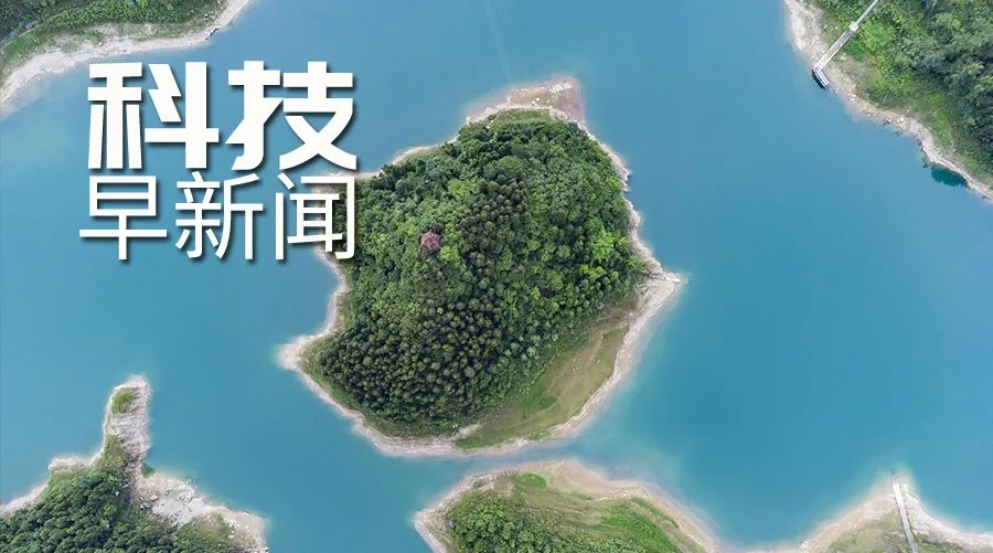 中法天文衛星探測到首個伽馬暴；罕見“小劍齒虎”現身雲南丨科技早新聞