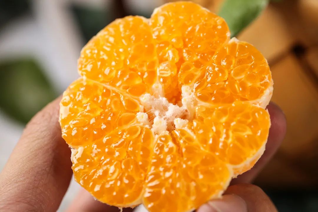 這口感太美妙了！