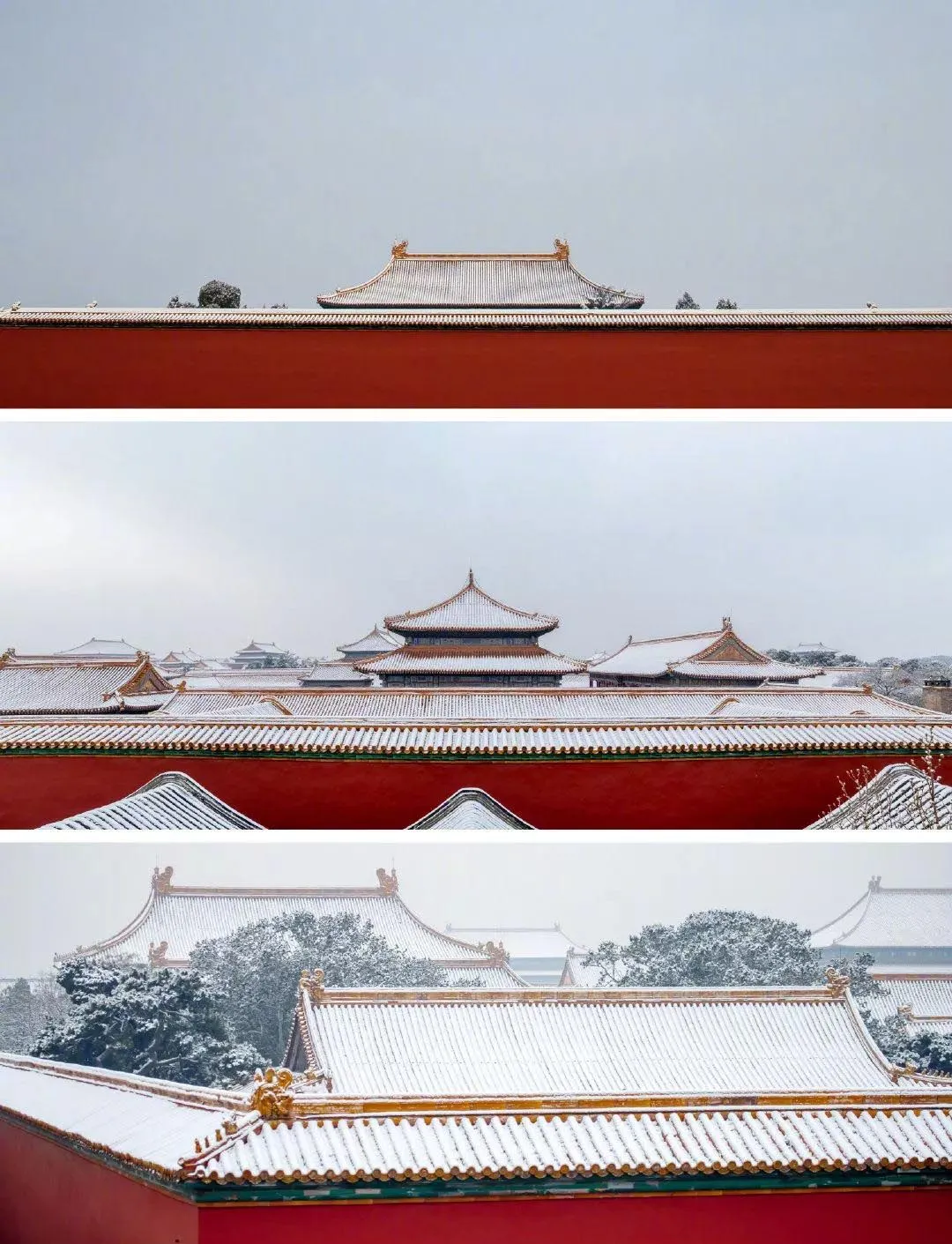 美哭了！大師親創「雪景杯」，獻禮故宮博物院建館100週年！