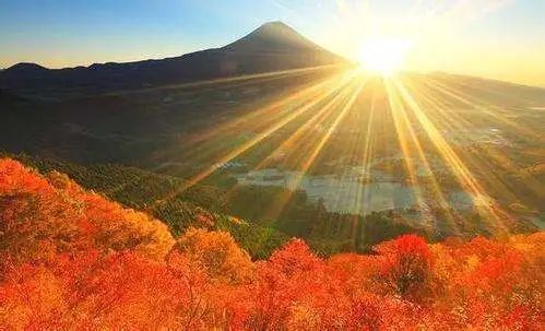 培陽壯火功：激發體內元陽之火，特別適合中老年同志，及患有虛損性疾病的中青年人！