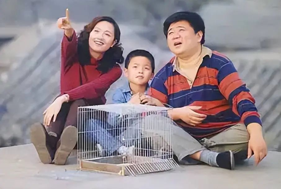 朱媛媛走了，辛柏青怎麼辦……