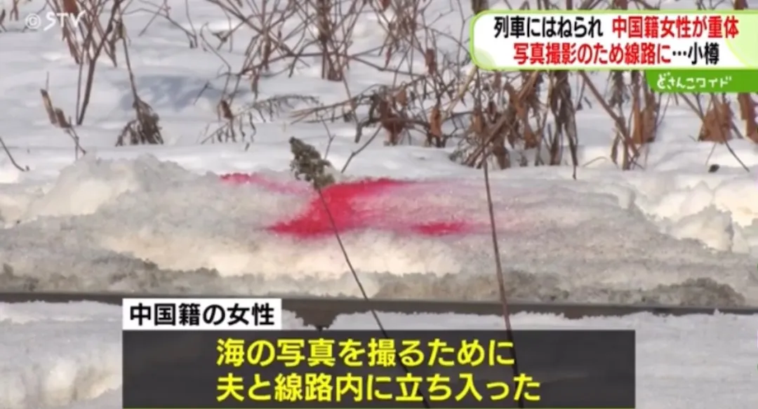 突發！中國遊客為拍照強闖鐵軌被日本列車撞倒！重傷失去意識，現場血染雪地….