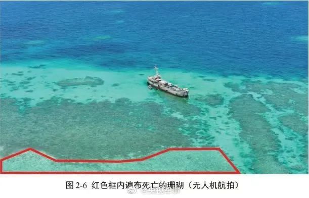 中國發布重磅資訊，南海是否要行動了，這一招甚妙！