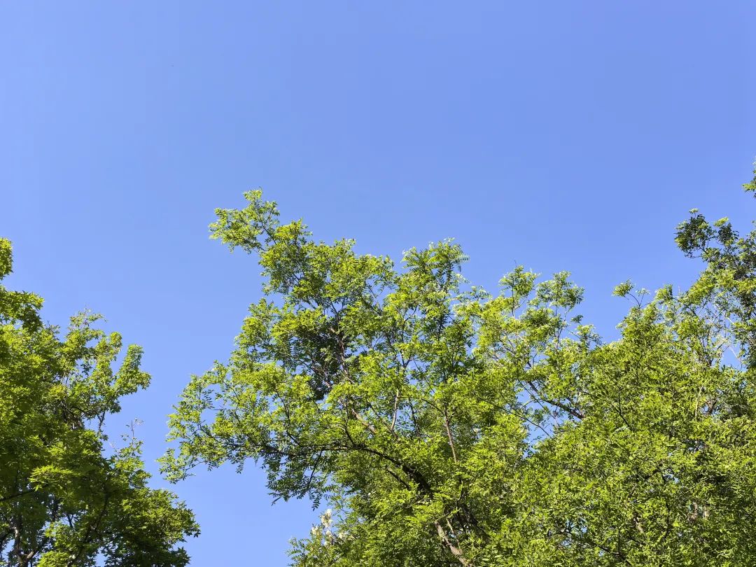 祝光榮的勞動者們：節日歡欣！欣賞北大清晨～感悟勞工神聖