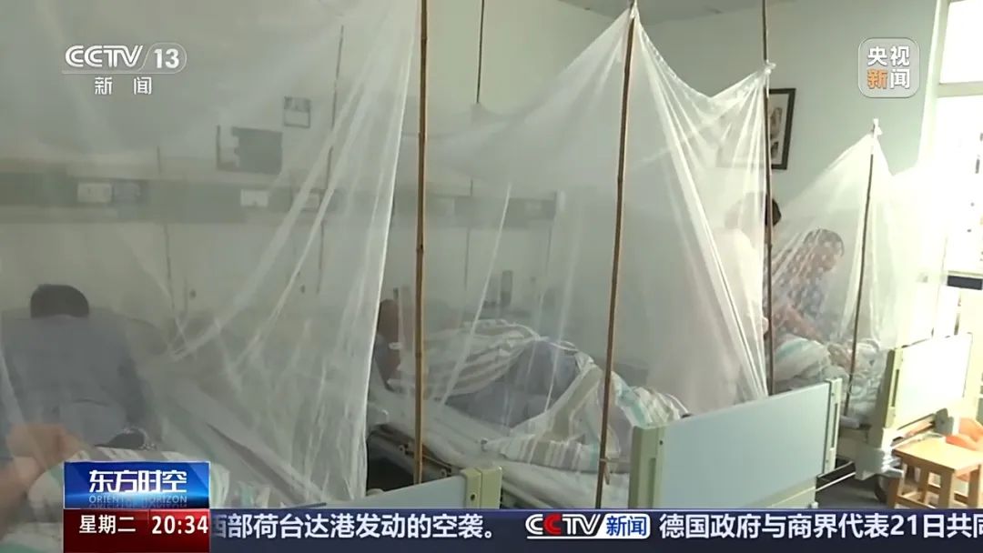 驚！感染基孔肯雅熱要隔離7天？佛山7220張隔離床位背後的真相