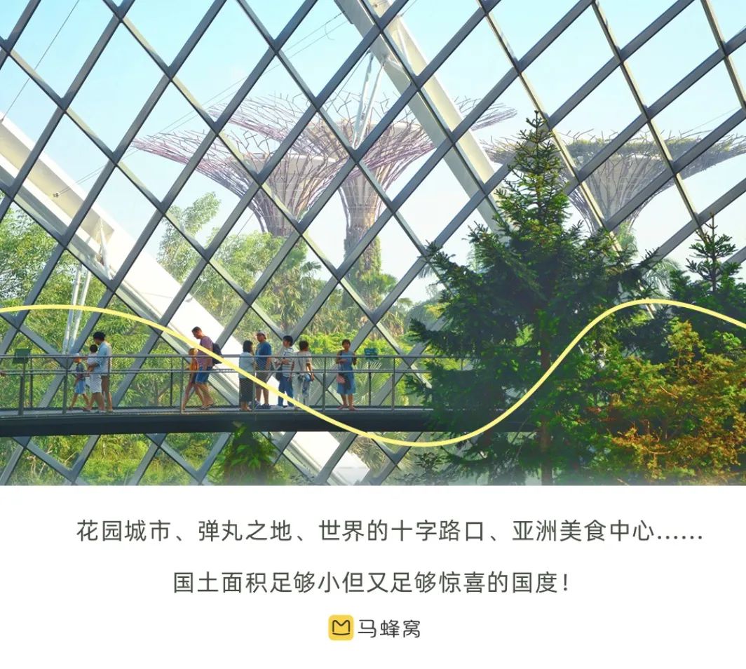 這裡年味濃濃又兼具國際範兒！免籤直飛不必擔心安全，超好逛的chill街區，遛不完的寶藏樂園，還有來自全球的美食！