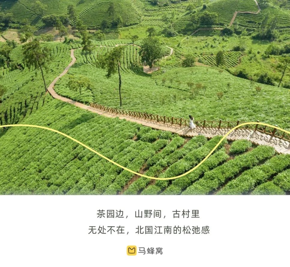 真冷門小城！比龍井村人少，比千島湖質樸，四大避暑勝地之一，中國唯一永久宜居城市！多地高鐵2h可達！