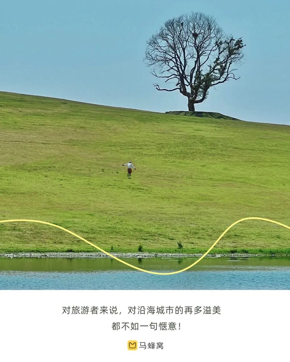 抽象，天上下蛤蜊了？海景不輸青煙威，物價低到感人，還能免費趕海，這座小城幸福感爆棚了！