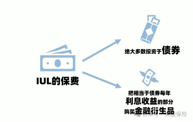 從美股暴跌中“全身而退”，IUL是如何做到的？