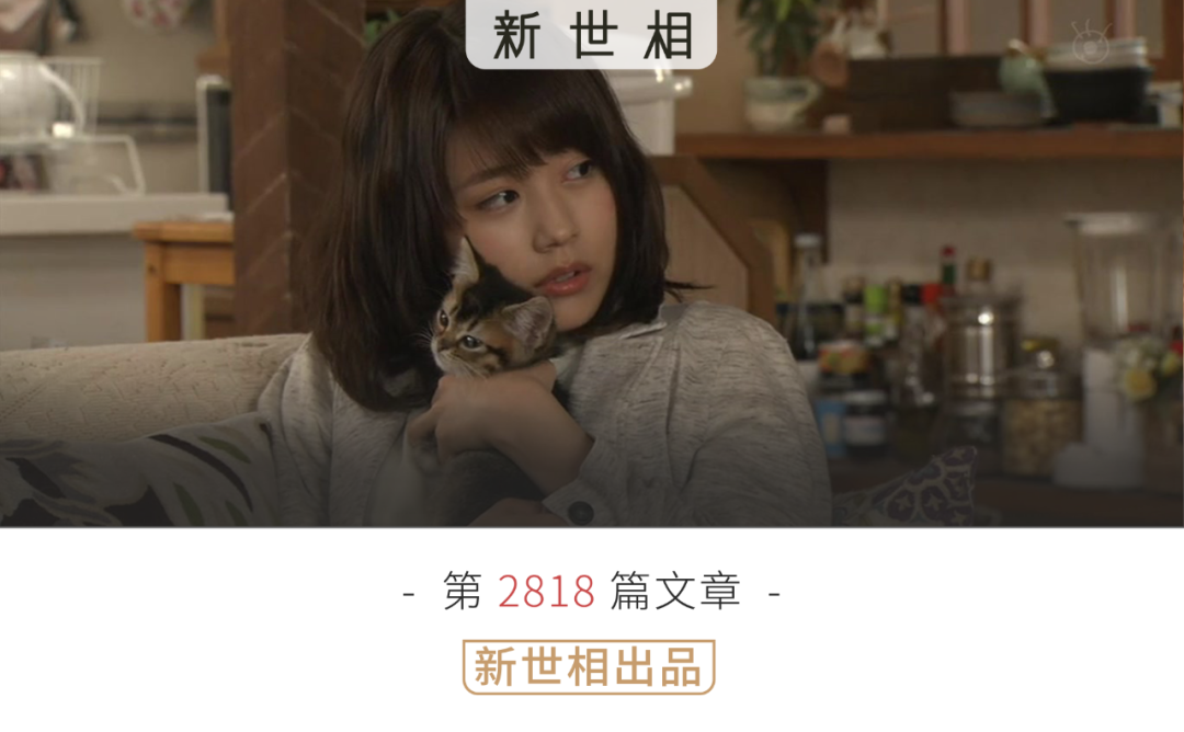 累了，想看看大家養的小貓小狗