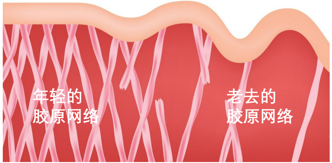 2025年抗老精華推薦！揭秘迪奧/蘭蔻等10款熱門精華真實效果，哪款是價效比之王？