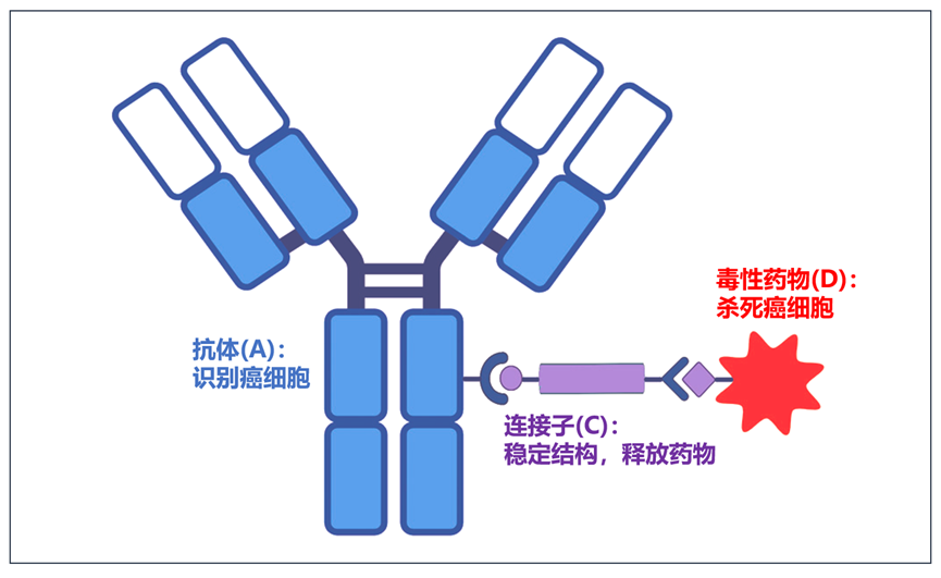 靶向、免疫治療都耐藥了，肺癌患者還能怎麼辦？