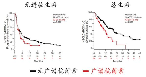 腸道菌群影響免疫療效，該怎麼補？