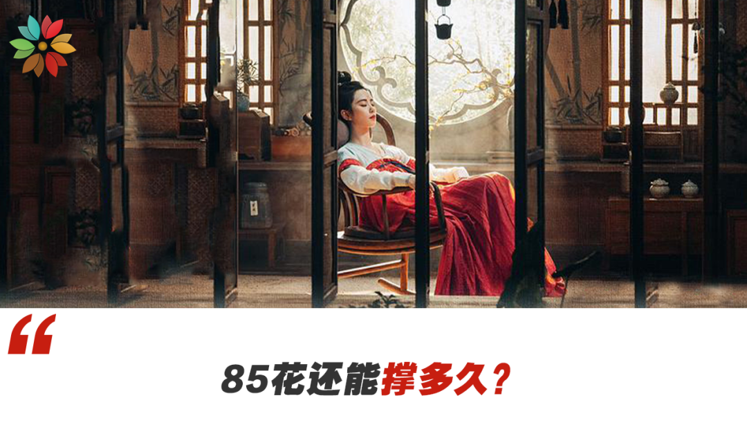 《掌心》遇冷，這鍋劉詩詩背嗎？