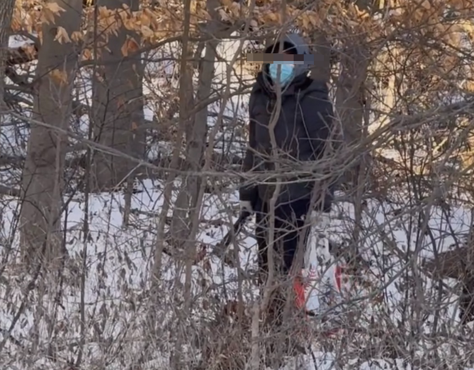別再丟人了！加拿大華人大爺-15℃拎著斧頭在居民區溜達，為了幹這事…