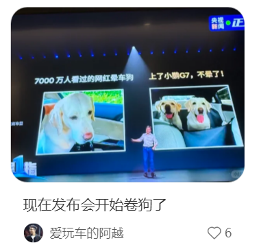 “小鵬G7，狗都不暈”！車企最好笑宣傳出現了…