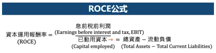 馴化銀狐：投資中最關鍵的指標