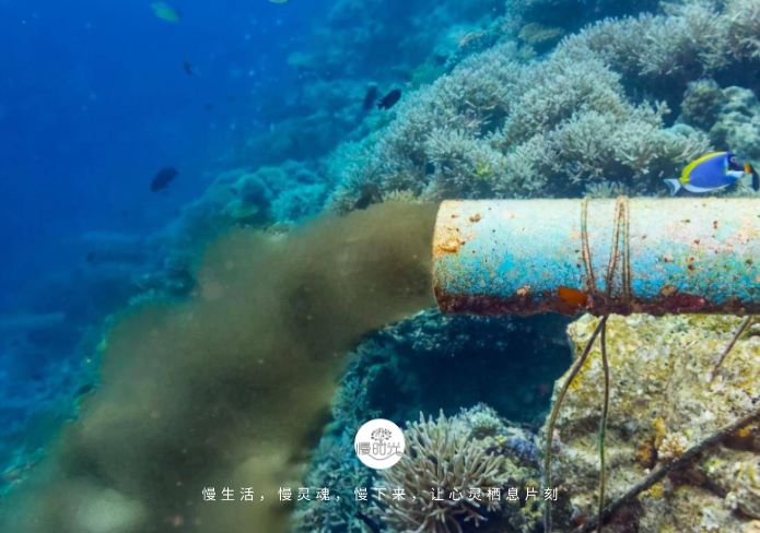 核汙水排海第2天，日本發生5.8級地震：全世界人民的災難，就要降臨了…