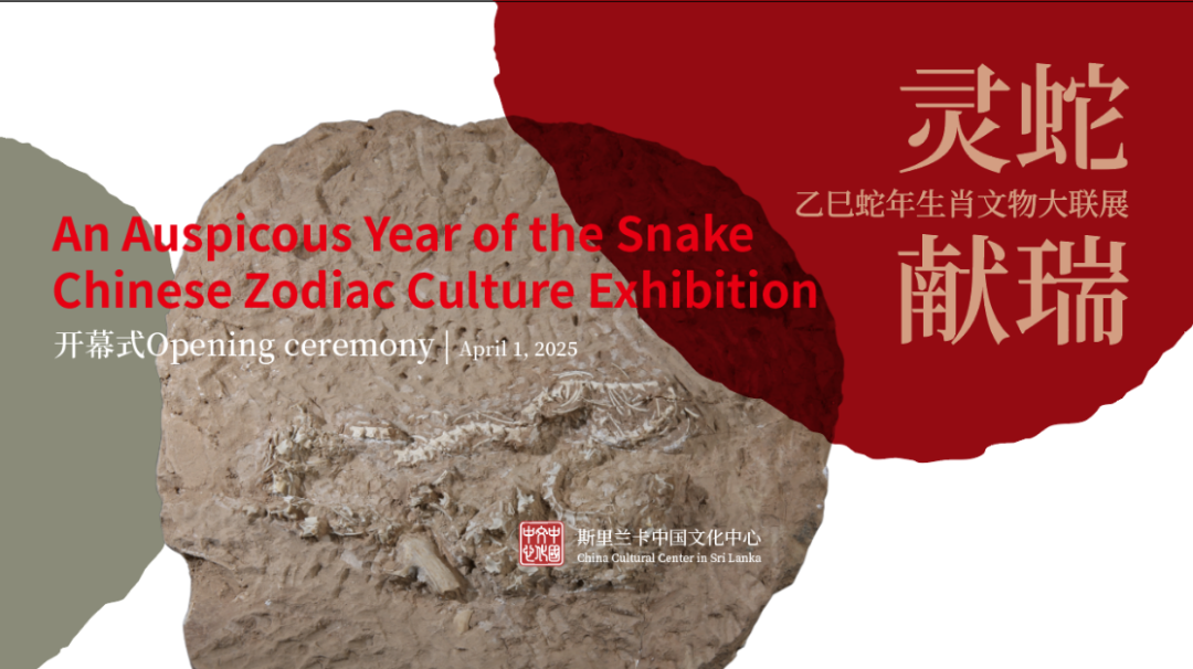 活動|這場經典中國文物聯展，在斯里蘭卡開幕啦