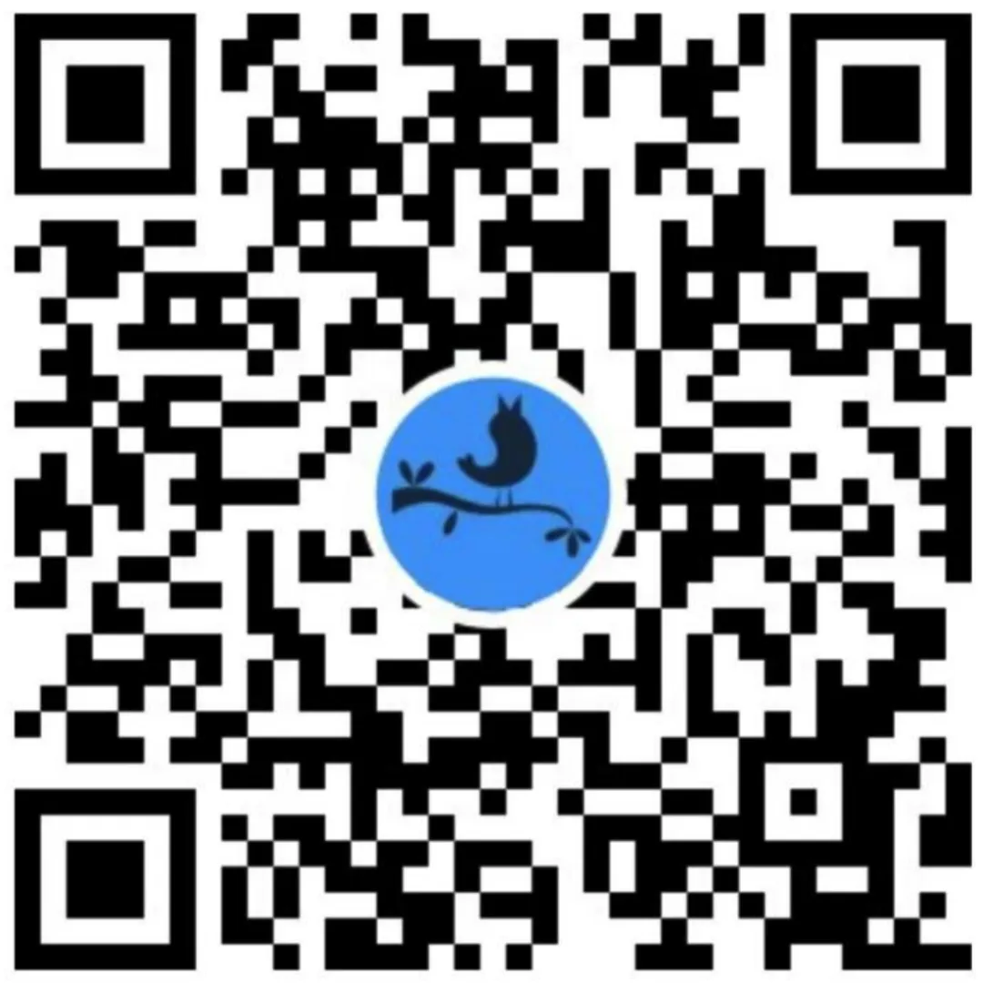 深圳程式設計師轉行遛狗？