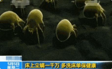 必須公開！“蠶絲被”和“棉花被”哪個好？事關家人健康，你一定要看完…