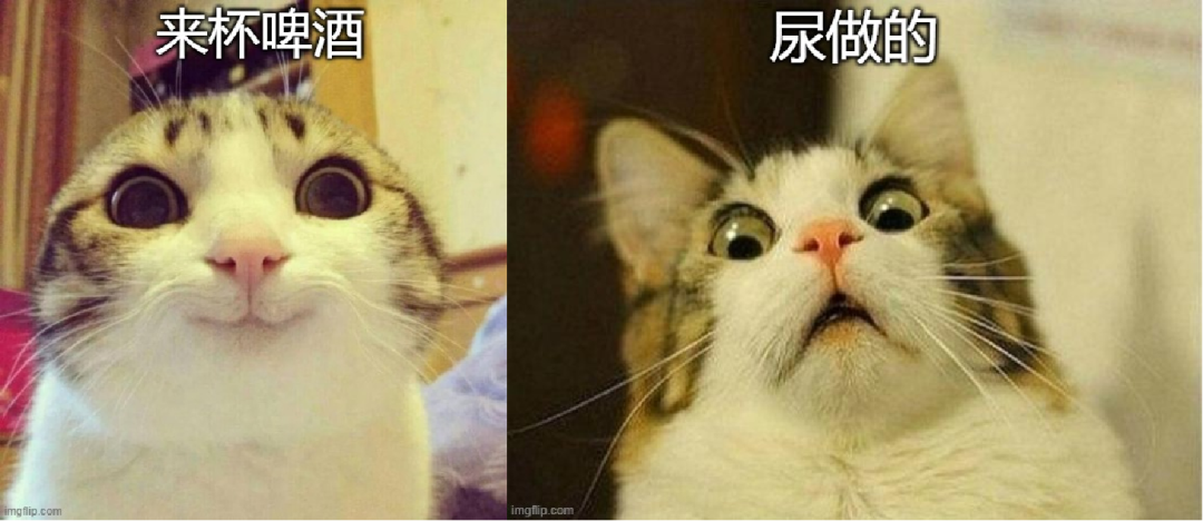 他們用汙水和尿做啤酒，還有人把啤酒糟做成了小揹包？