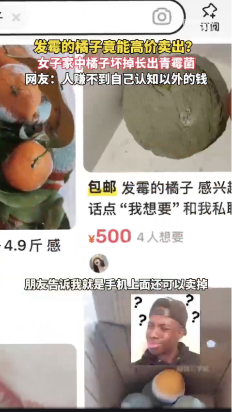 上萬網友高價賣“黴菌”，一堆985碩博生瘋狂搶購，然而買來的菌根本不能用！