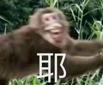 只要旗艦店半價！還是歐洲王室都在睡的高奢床品？！
