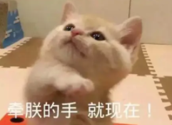 日本COSME頭皮護理NO.1？不是我說，也太適合夏天了吧！