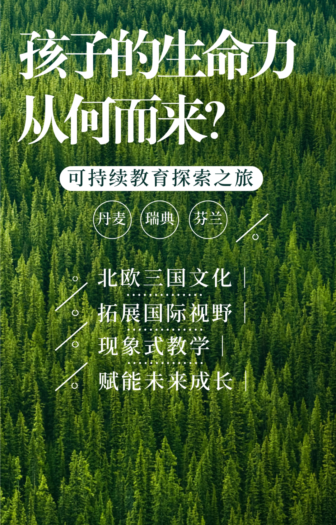 北歐三國夏令營報名中丨從芬蘭教育看未來，解鎖最幸福國家的教育密碼