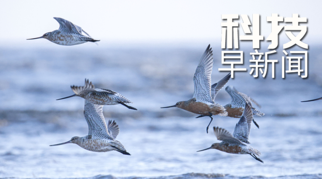 鵲橋二號中繼星取得階段性進展；212人同日從南坡登頂珠峰丨科技早新聞