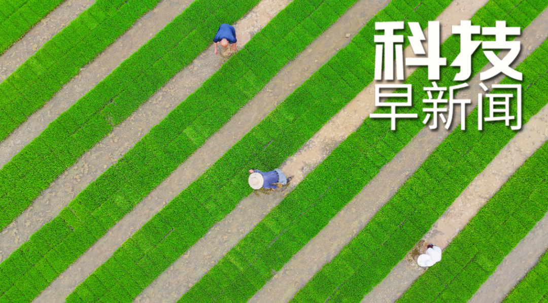 一季度我國貨物貿易進出口超10萬億元；“五月四節蜉”被發現丨科技早新聞