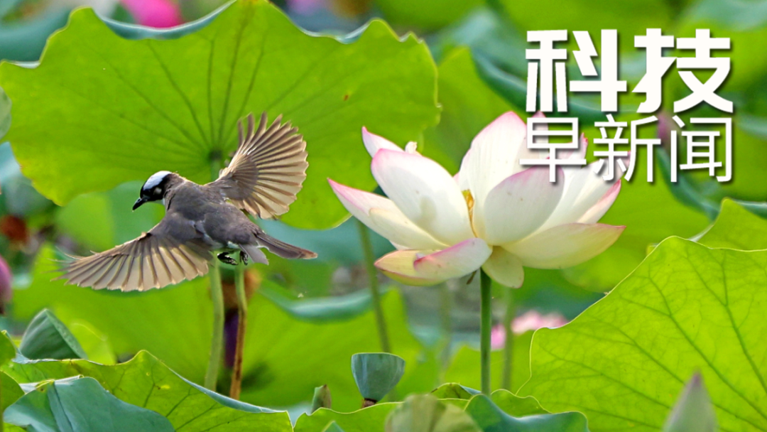 西工大“飛天二號”發射成功；魯賓天文臺釋出宇宙攝影“首作”丨科技早新聞