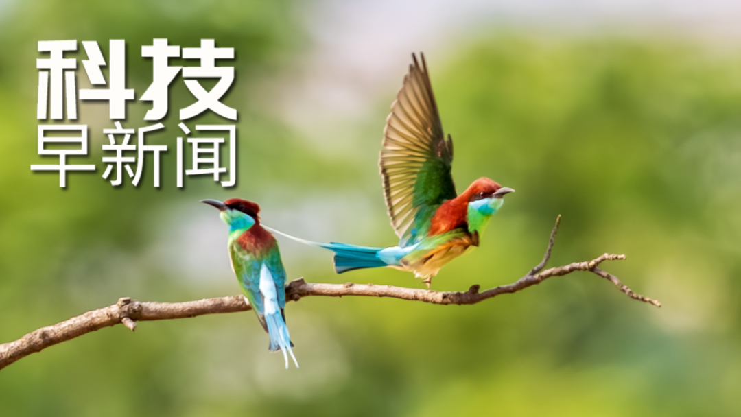 南方將迎今年以來最強降雨；西藏發現新物種墨脫樹蛙丨科技早新聞