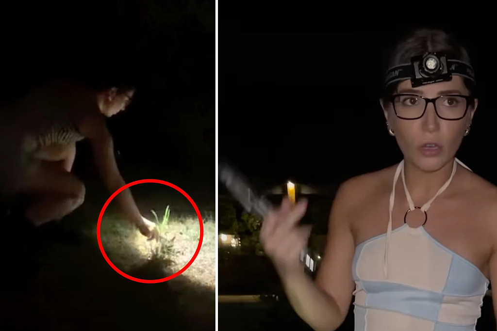 小心！這種毒物正在全澳氾濫！澳女12個夜晚狂抓214只