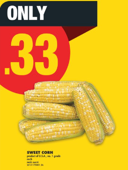 5月9日多倫多超市實拍！據說寶藏級印度甜品誰吃過！67分芒果買嗎？