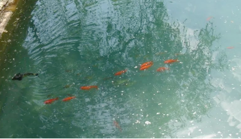 算算賬，不能摸魚