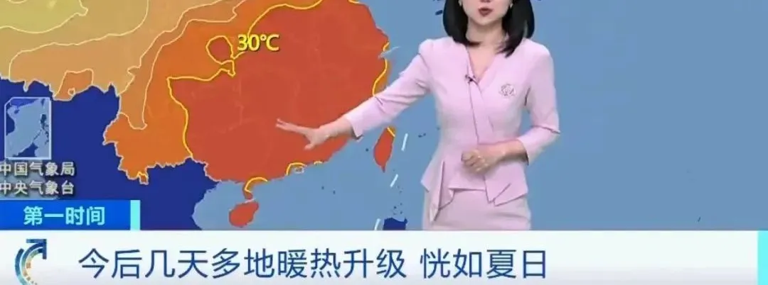 有啥質量賊好，價格卻低到離譜的夏天衣服？